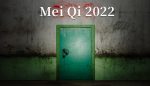 孙美琪疑案 2022