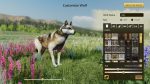 野狼谜踪：周年纪念版/WolfQuest: Anniversary Edition